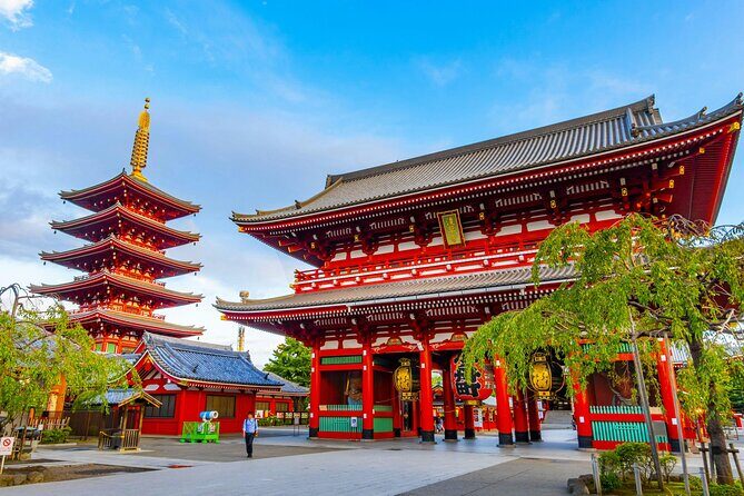 Tokyo Private Custom Full Day Sightseeing Tour by Chartered Car - Who Will Love This Tour?