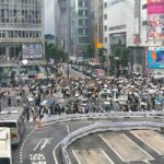 Tokyo Private Custom Tour with Local guide - The Sum Up