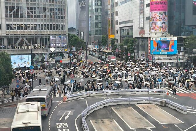 Tokyo Private Custom Tour with Local guide - The Sum Up