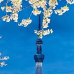 Tokyo: Private Customizable 4-Hour Night Tour - FAQ