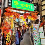 Tokyo: Private & Customizable Tour - All-in-One Experience - Additional Practical Details