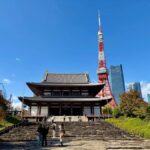 Tokyo: Private Customizable Tour by Car with Local Guide - Detailed Breakdown of the Tour: What to Expect