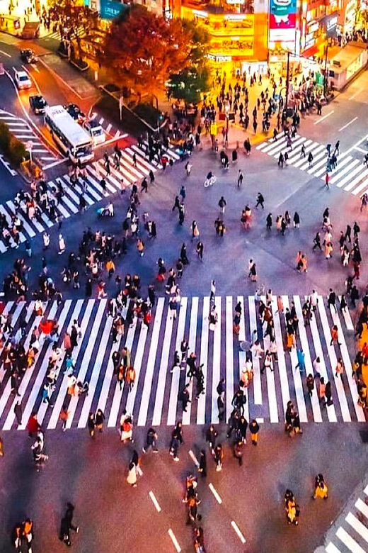 Tokyo Private Customizable Tour with a Local Guide - In-Depth Look at the Itinerary