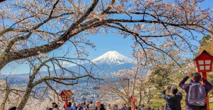 Tokyo: Private Day Trip to Mount Fuji and Hakone - Practical Details & What to Expect