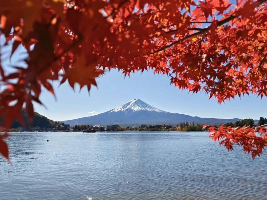 Tokyo: Private Day Trip to Mount Hakone and Lake Ashi - What to Expect on the Day