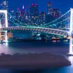 Tokyo Private Day Trip With English Speaking Driver - Navigating Tokyo with a Private Guide