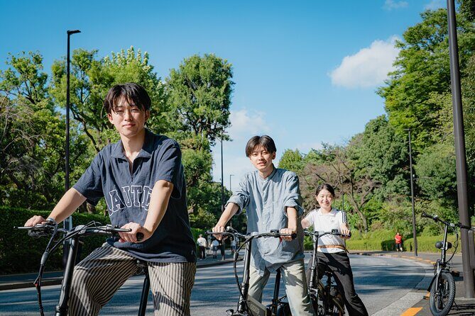 Tokyo: Private Electric Bike Tour of City Highlights - What Travelers Say & Why It Matters