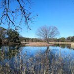 Tokyo: Private Family Park Tour with Couple Alone Time - Why This Tour is Worth Considering