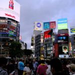 Tokyo: Private Guided Tour with a Local - Travel in Style and Comfort