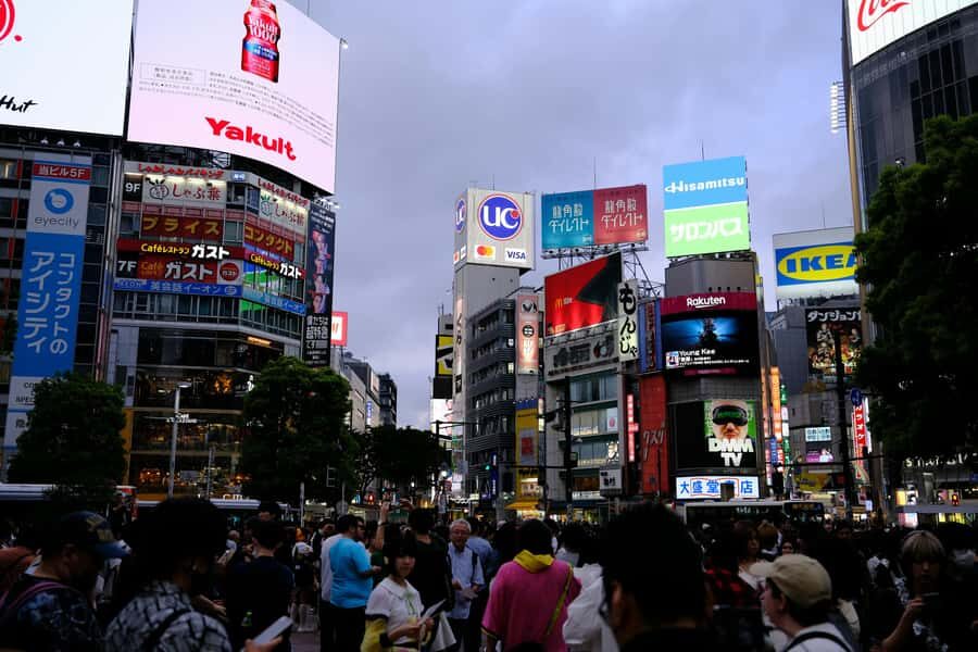 Tokyo: Private Guided Tour with a Local - Travel in Style and Comfort