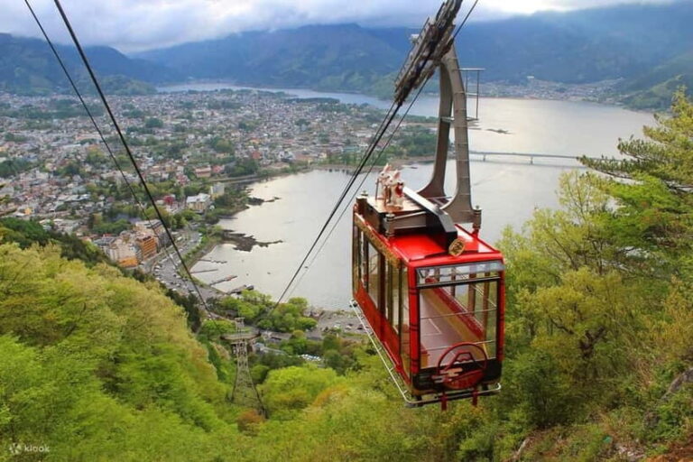 Tokyo : Private Luxury Tour To Mt Fuji With English Speaker - Practical Tips for Travelers