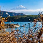 Tokyo: Private Mount Fuji Day Trip with Private Guide - Final Thoughts: Is This Tour Worth It?