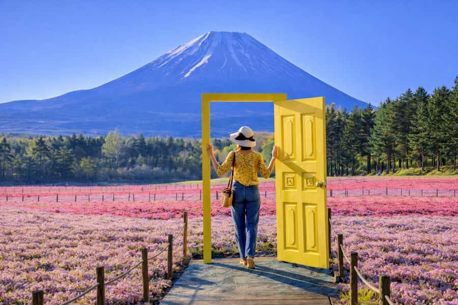 Tokyo: Private Mt. Fuji and Shibazakura Spring Tour - Why This Tour Stands Out