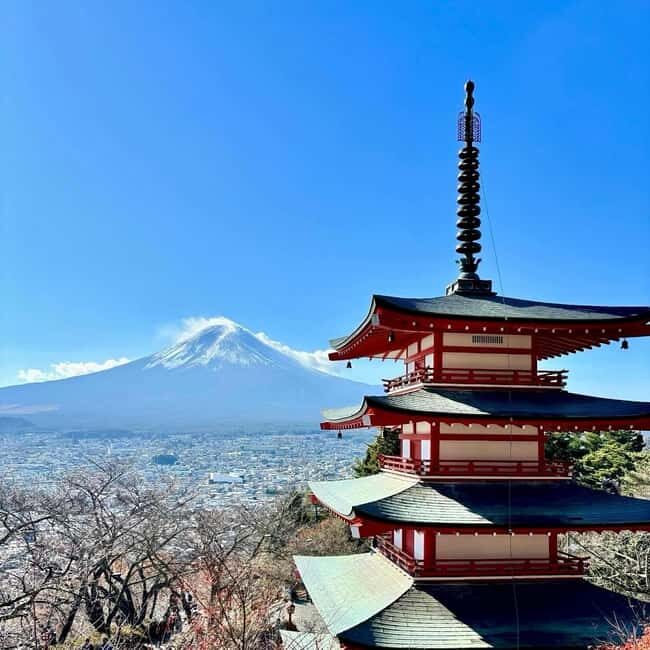 Tokyo: Private Mt. Fuji Day Trip with Local Guide - Practical Tips and What to Expect