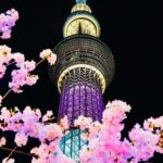 Tokyo: Private Night Tour with Hotel Pickup - The Experience: What’s It Like?