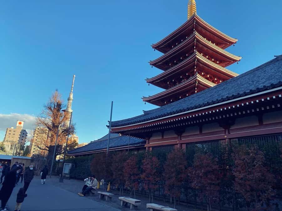 Tokyo Private One-Day Tour  Local Driver - The Itinerary Breakdown