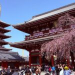 Tokyo Private Sightseeing Tour by Car with Local Guide - Who Will Love This Tour?
