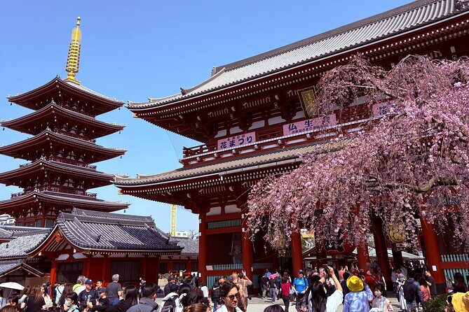 Tokyo Private Sightseeing Tour by Car with Local Guide - Who Will Love This Tour?