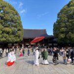 Tokyo: Private Spiritual Shrines Tour by Car with Guide - Who Should Book This Tour?
