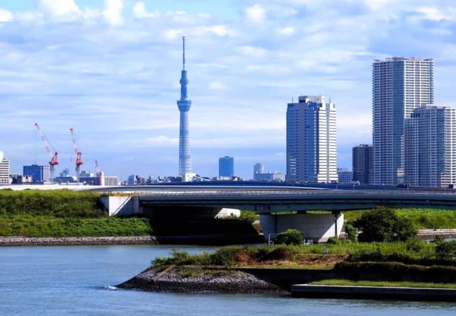 Tokyo Private Tour: Guide, Meals & Transfers Included - The Itinerary: What You’ll See and Do