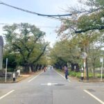 Tokyo: Private tour of Beckoning Cat Painting at Yanaka - Practicalities & Value Analysis