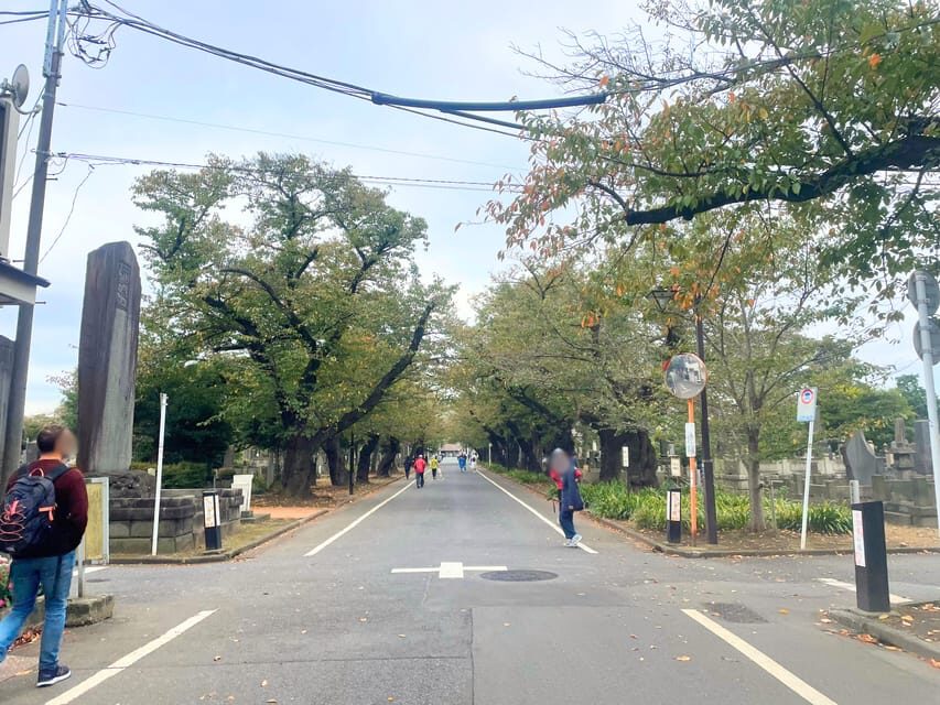 Tokyo: Private tour of Beckoning Cat Painting at Yanaka - Practicalities & Value Analysis