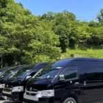 Tokyo Private Transfer Between Disneyland and Tokyo - What to Expect During Your Transfer