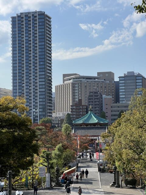 TOKYO Private visit guide Speaking French - Exploring the Itinerary: What You Can Expect