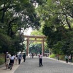 Tokyo Private Walking Tour Shibuya, Harajuku and Meiji Jingu - Practical Details and What They Mean for You