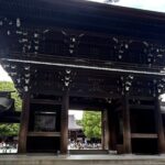 Tokyo Private Walking Tour Shibuya, Harajuku and Meiji Jingu - An In-Depth Look at the Experience