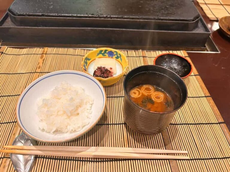 TOKYO: Professional Gardener Guides Gardens by E-bike -LIGHT - Itinerary Breakdown and Highlights