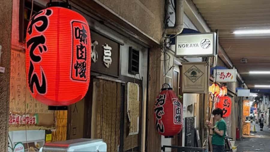 Tokyo Retro Vibes and Izakaya Tour in KOENJI - The Itinerary Breakdown: What to Expect