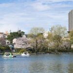 Tokyo: Shakujii Park Tour with Lacal Udon - Exploring Shakujii Park: Nature and Tranquility