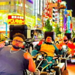 Tokyo: Shibuya and Shinjuku Streets Guided Go-Karting Tour - Understanding the Route and Its Highlights