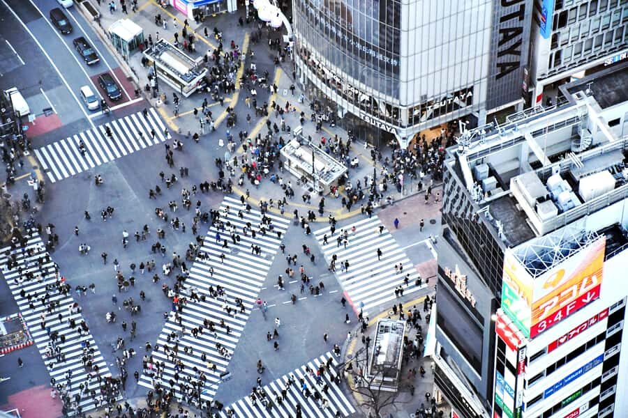 Tokyo: Shibuya Night Walking Tour with Rooftop City Views - What to Expect: Practical Details