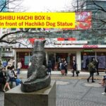 Tokyo Shibuya Skincare & Makeup Walking Tour - Who Will Love This Tour?