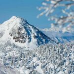 Tokyo: Shiga Kogen Ski Resort day Tour With English driver - What We Loved About This Experience