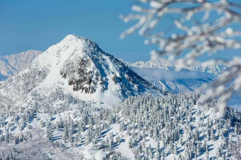 Tokyo: Shiga Kogen Ski Resort day Tour With English driver - What We Loved About This Experience