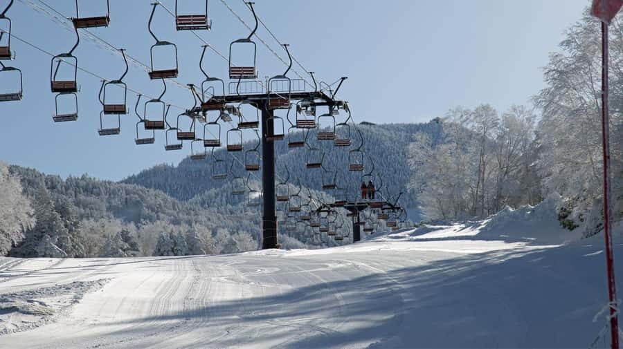 Tokyo: Shiga Kogen Ski Resort day Tour With English driver - What to Expect During Your Day