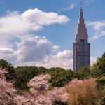 Tokyo: Shinjuku Gyoen Cherry Blossom Tour & Entry - The Guided Walk: A Well-Organized, Relaxed Experience