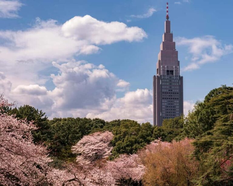 Tokyo: Shinjuku Gyoen Cherry Blossom Tour & Entry - The Guided Walk: A Well-Organized, Relaxed Experience