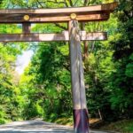 Tokyo: Shinjuku Gyoen, Meiji Shrine, and Shibuya Tour - What to Expect on the Day