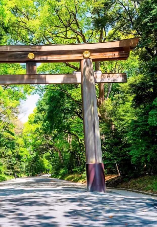 Tokyo: Shinjuku Gyoen, Meiji Shrine, and Shibuya Tour - What to Expect on the Day