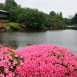 Tokyo: Shinjuku Gyoen National Garden Guided Walking Tour - Seasonal Beauty and Photo Opportunities