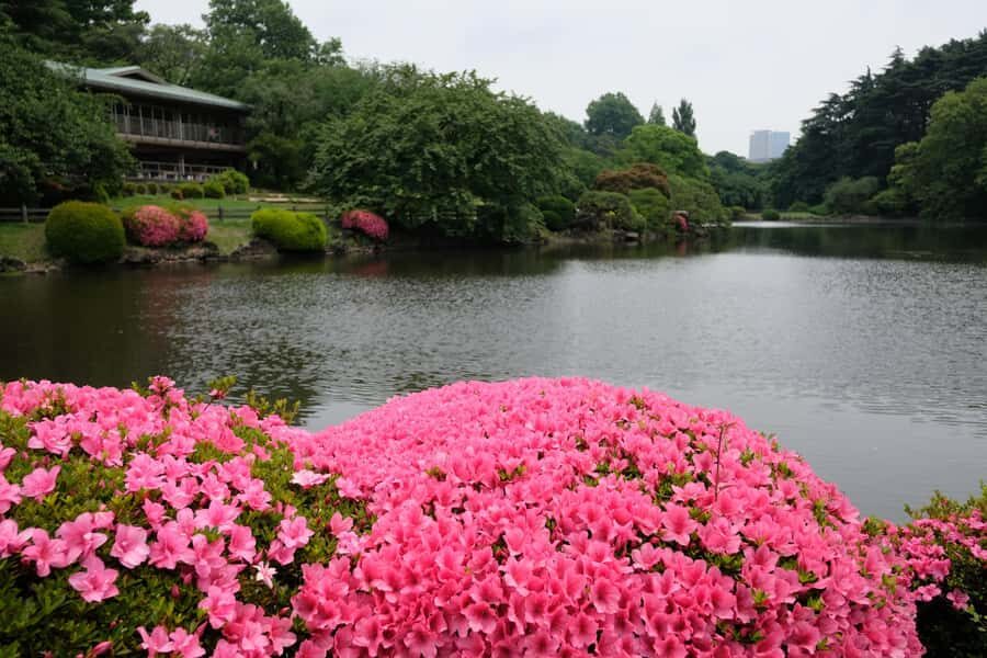 Tokyo: Shinjuku Gyoen National Garden Guided Walking Tour - Seasonal Beauty and Photo Opportunities