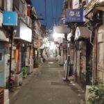 Tokyo: Shinjuku Night Tour to Kabukicho with Bar Hopping - Who Will Love This Tour?