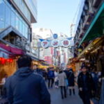 Tokyo Shopping Street Private Tour Government Licensed Guide - The Practicalities: What to Expect