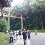 Tokyo Shrine Cultural Walks - Practical Details & Tips