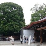 Tokyo Shrine Cultural Walks - Practical Details and Tips