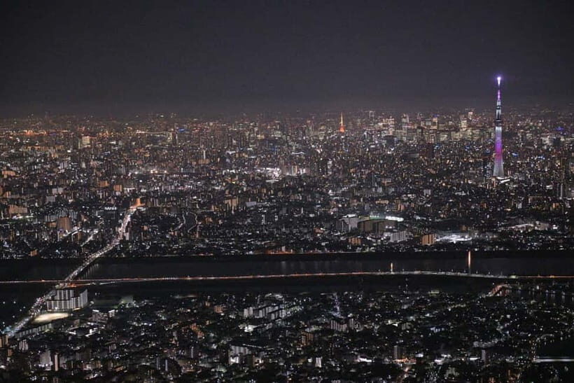 Tokyo: Skytree Course Aerial Tour - What to Expect During the Flight